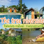The Tree Riverside ที่พักแก่งกระจานริมน้ำ ท่ามกลางธรรมชาติ