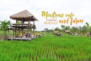 Montreux café and farm นครนายก