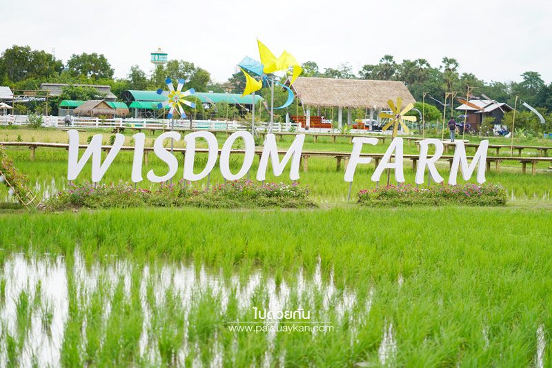 Wisdom farm ปทุมธานี