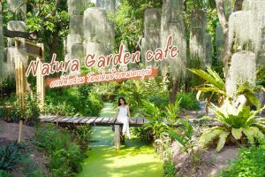 <b>Natura Garden Cafe คาเฟ่ฟีลสวน โดดเด่นด้วยต้นเคราฤาษี</b>
