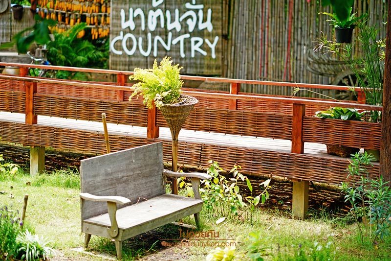 บ้านนาต้นจั่น