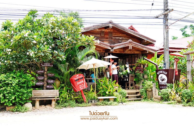 บ้านนาต้นจั่น