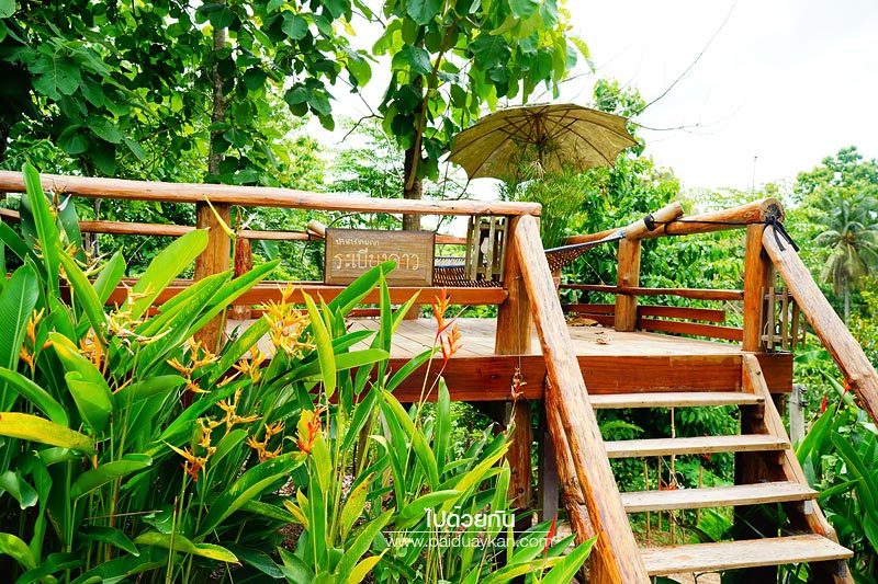 บ้านนาต้นจั่น