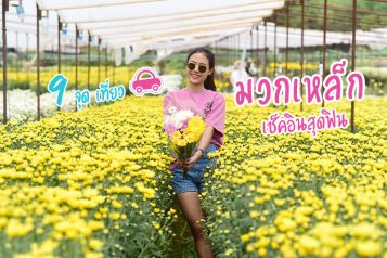 ปกมวกเหล็กnew