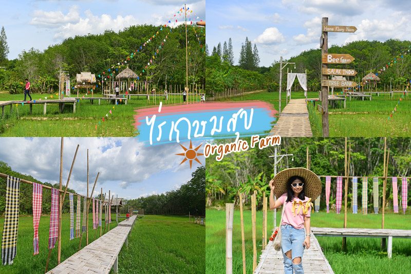 1-cover