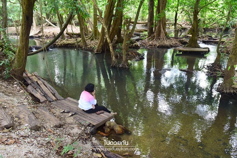 โฉ สวนน้ำธรรมชาติ 