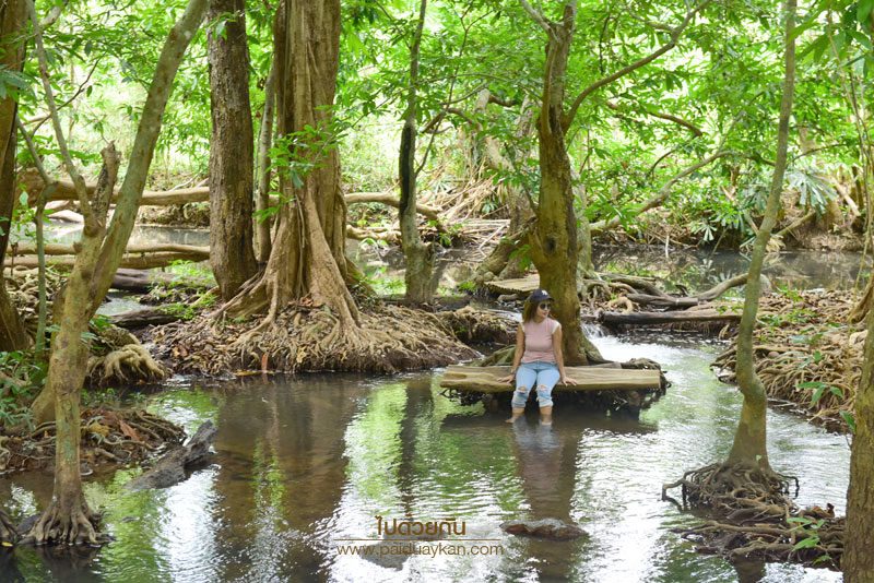 เที่ยวนครศรีธรรมราช