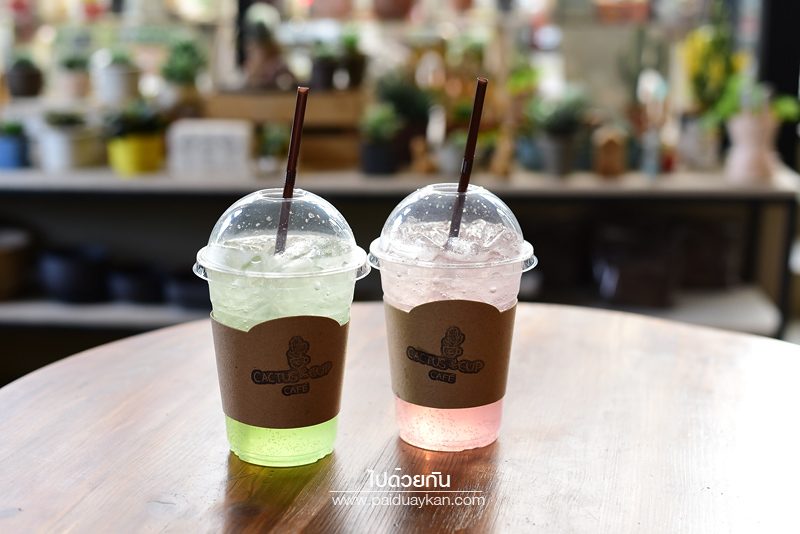 Cactus & Cup Café ลาซาล