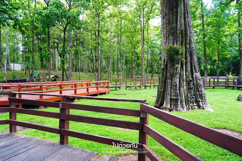 อุทยานแห่งชาติต้นสักใหญ่ 