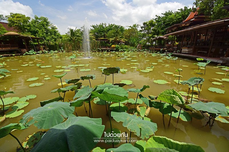 อยุธยา รีทรีต 