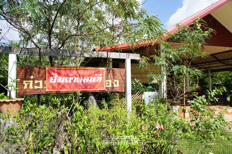 ร้านส้มตำดอนขี หนองบัวลำภู