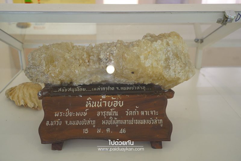 พิพิธภัณฑ์หอยหิน 150 ล้านปี