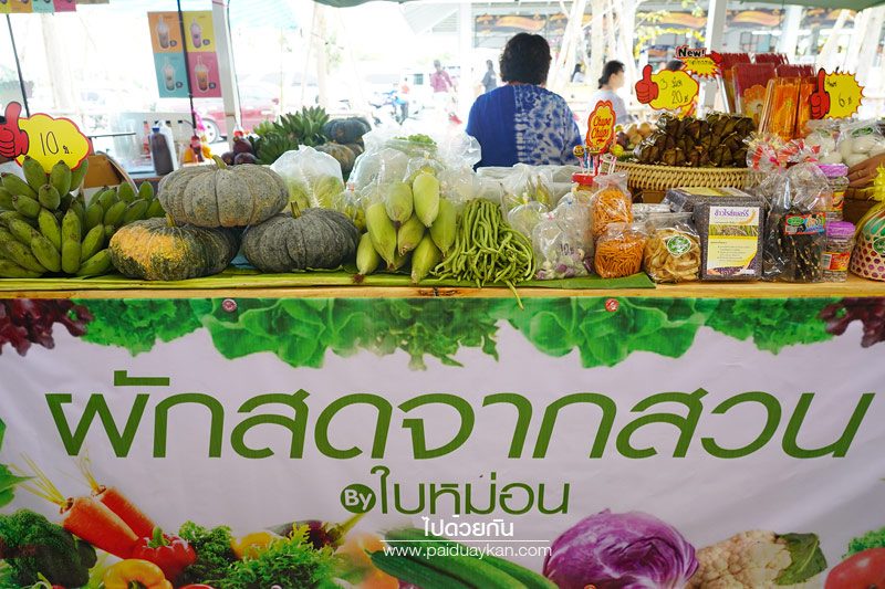เมืองรัตติยา 