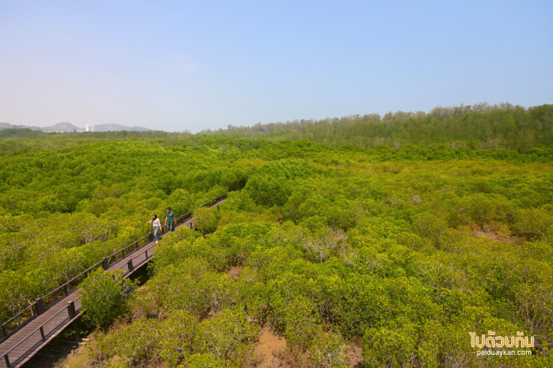 วนอุทยานปราณบุรี  