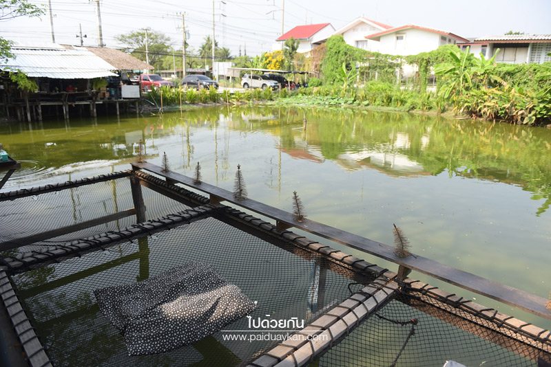 ร้านนั่งห้อยขา@นครชัยศรี