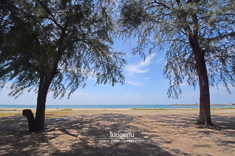 หาดนราทัศน์
