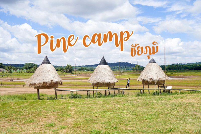 Pine camp แคมป์สน