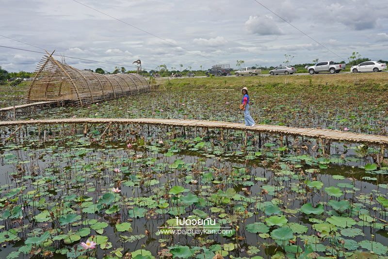 ตลาดน้ำสะพานโค้ง