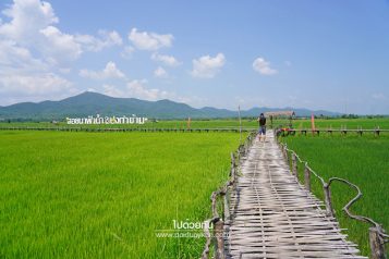 สะพานไม้ไผ่บ้านปงท่าข้าม