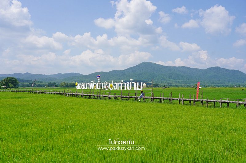 สะพานไม้ไผ่บ้านปงท่าข้าม