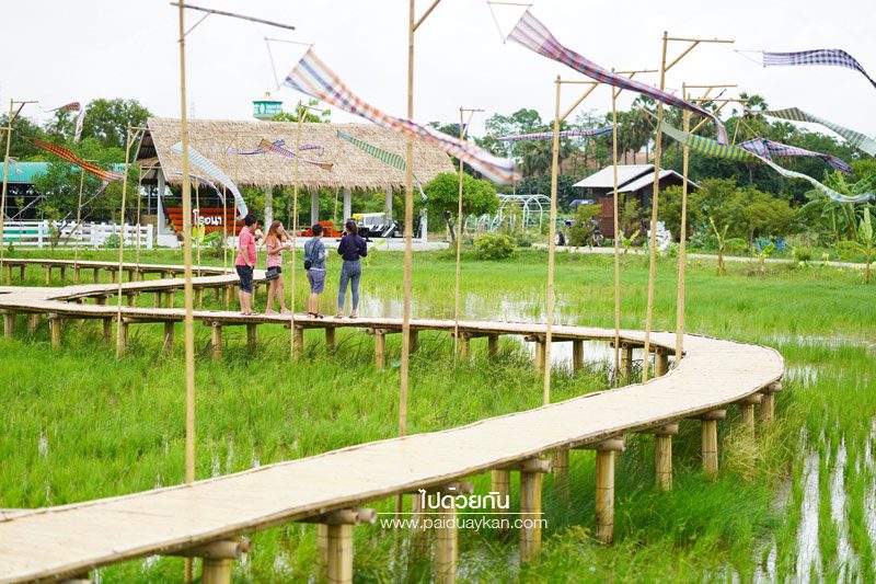 Wisdom farm ปทุมธานี