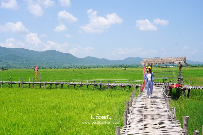 สะพานไม้ไผ่บ้านปงท่าข้าม