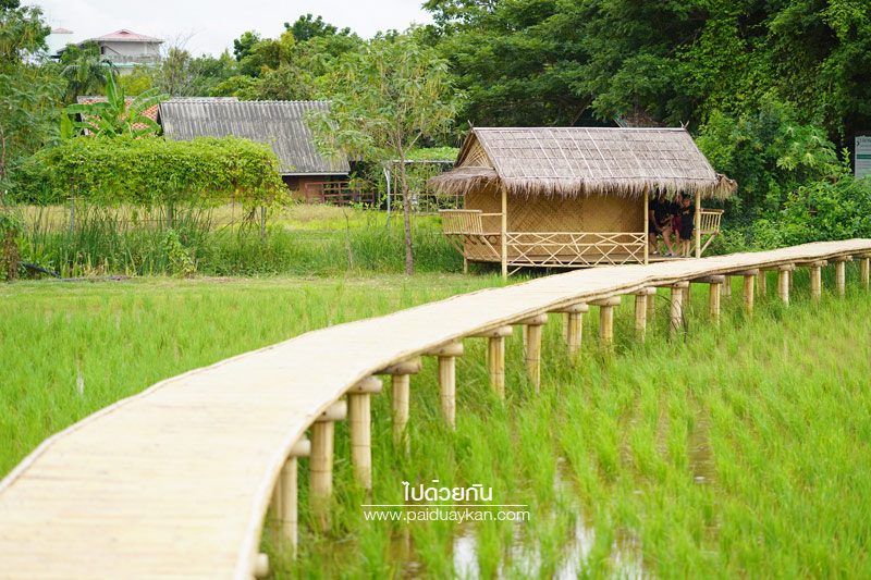 Wisdom farm ปทุมธานี