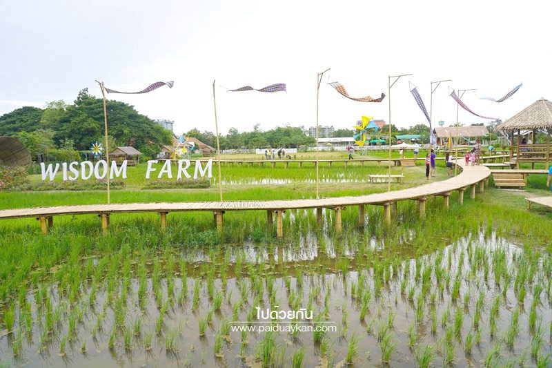 Wisdom farm ปทุมธานี