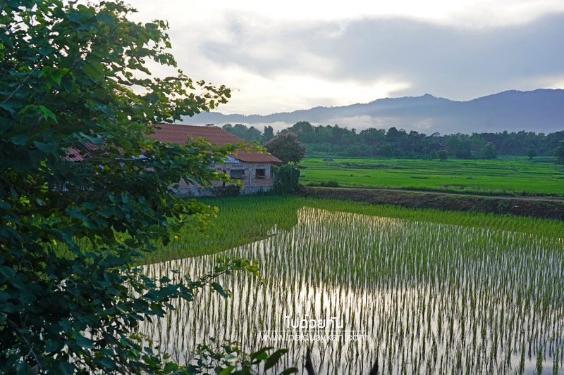 บ้านริมลองโฮมสเตย์