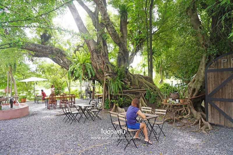 Prem Cafe in the Garden 