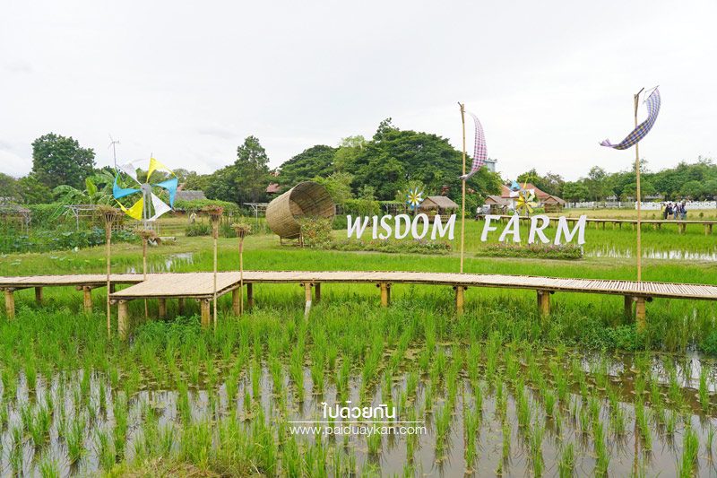 Wisdom farm ปทุมธานี