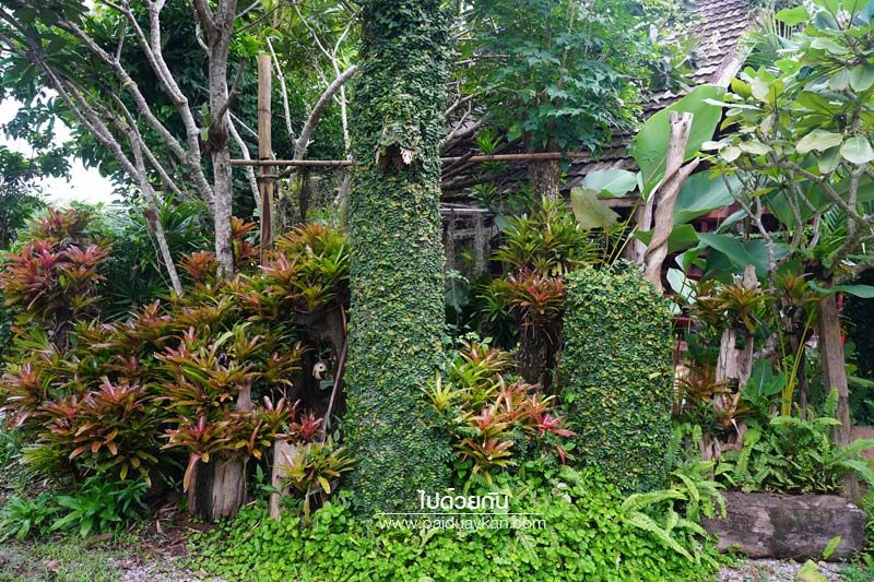 บ้านริมลองโฮมสเตย์