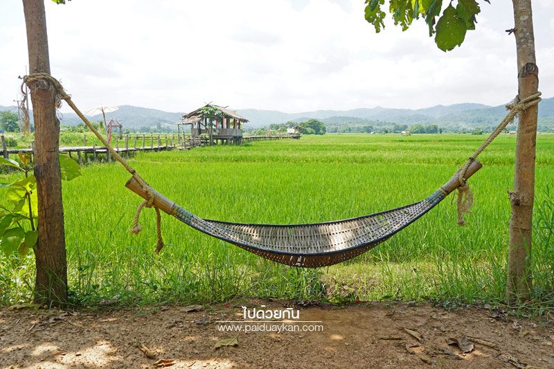 สะพานไม้ไผ่บ้านปงท่าข้าม