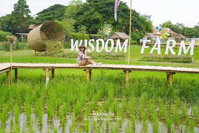 Wisdom farm ปทุมธานี