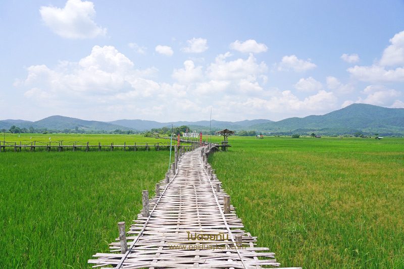 สะพานไม้ไผ่บ้านปงท่าข้าม