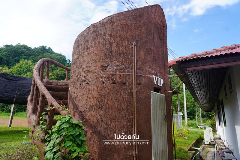 บ่อพุร้อนแม่จอก