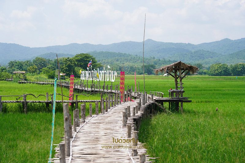 สะพานไม้ไผ่บ้านปงท่าข้าม