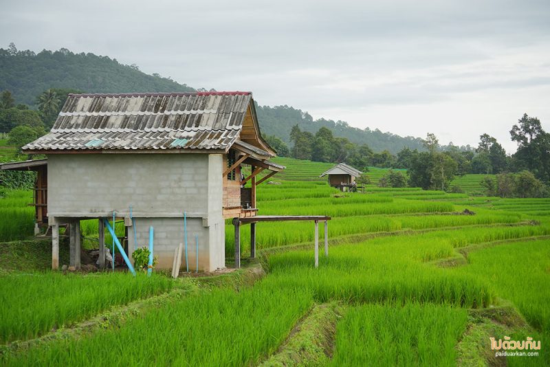 บ้านวีรศักดิ์