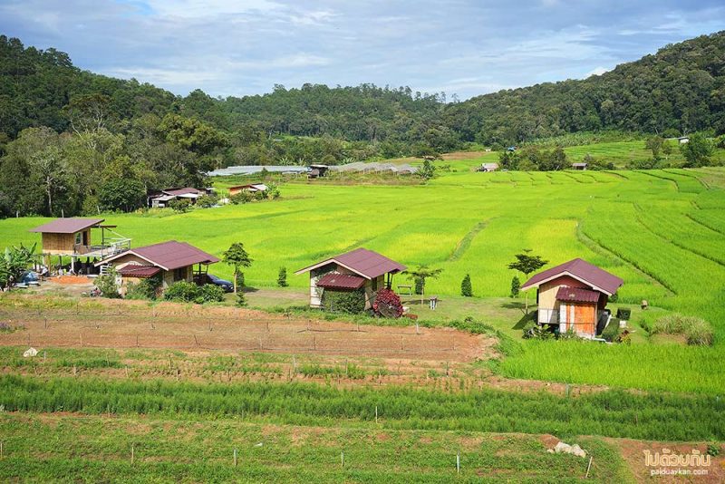 บ้านแม่กลางหลวง