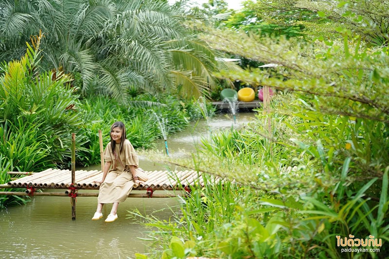 ดูคลองคาเฟ่