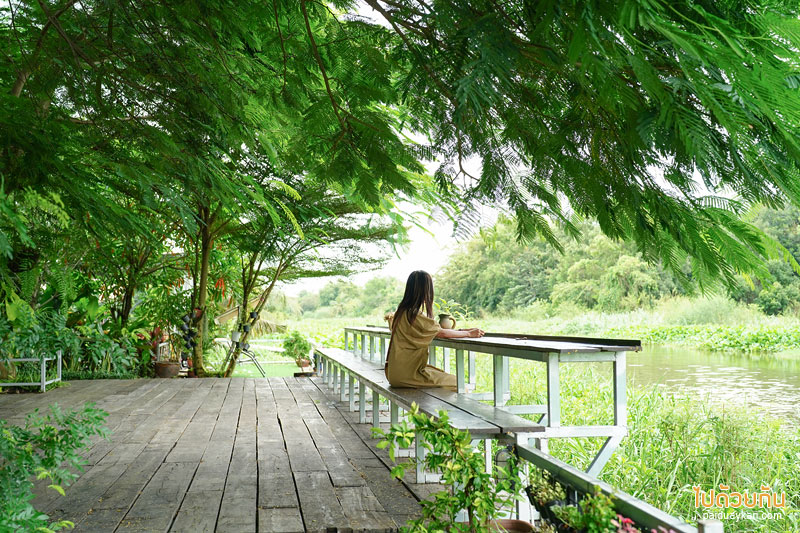 ดูคลองคาเฟ่