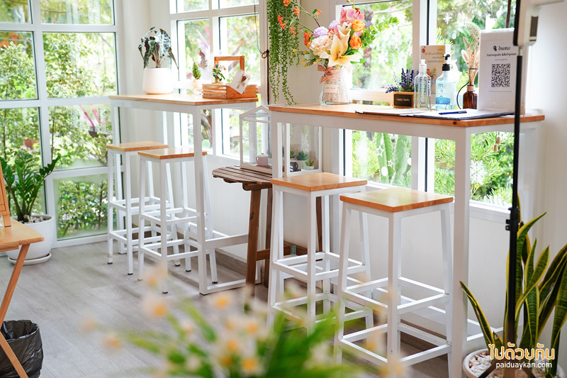 ดูคลองคาเฟ่