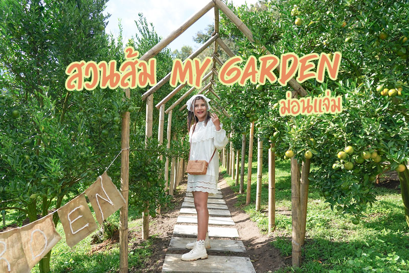 1 สวนส้ม my garden