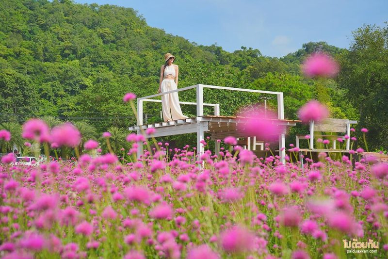 Hokkaido Flower Park 