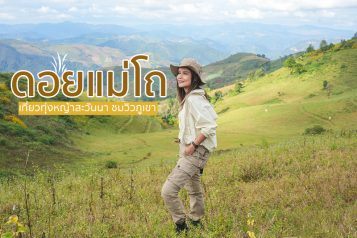 ดอยแม่โถ