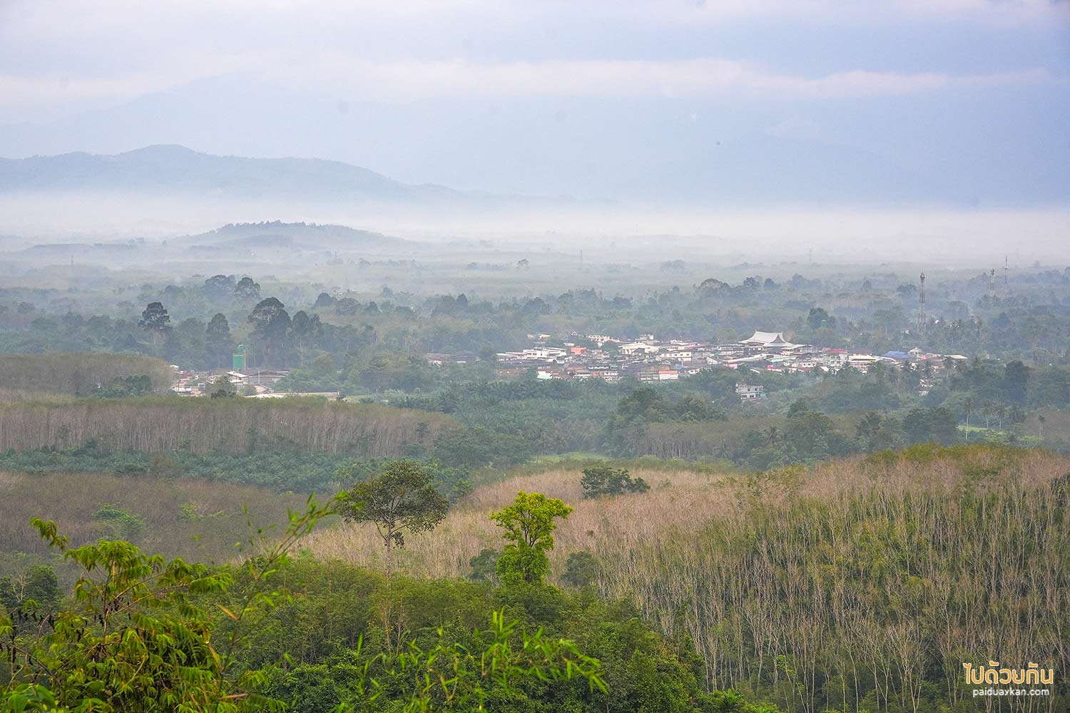 kyuntaroen16
