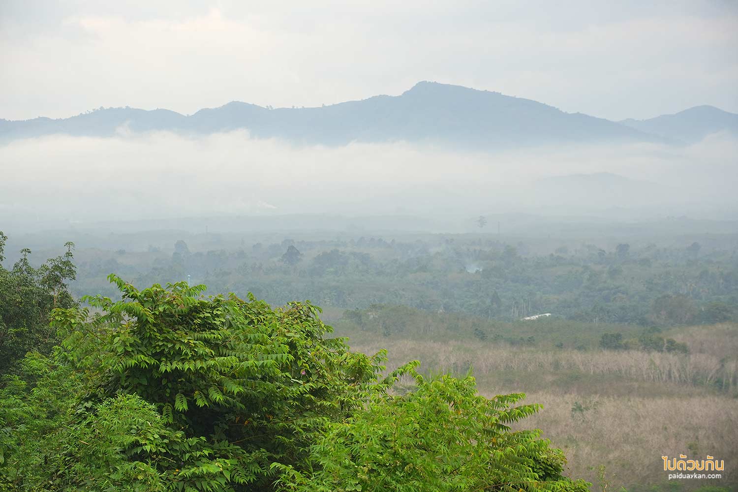 kyuntaroen17