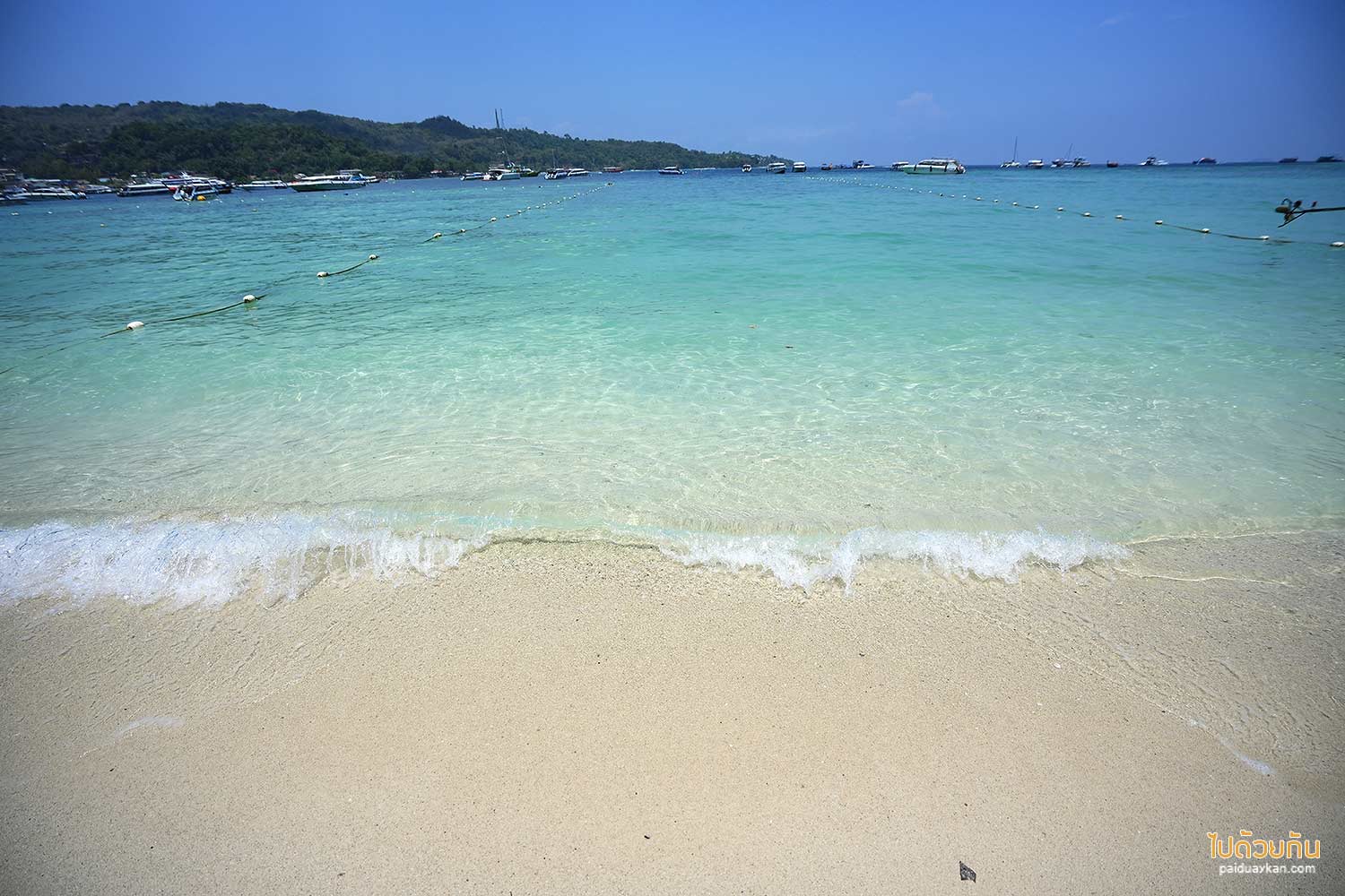 เกาะพีพีดอน เกาะพีพีดอน