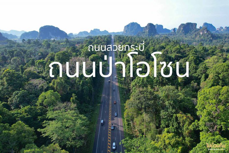 ถนนป่าโอโซน กระบี่