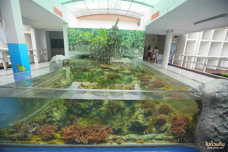 Bangsaen Aquarium